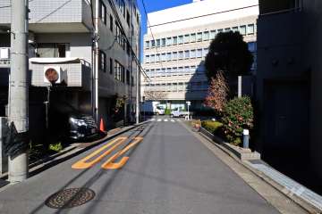 敷地東側の前面道路(南側から)