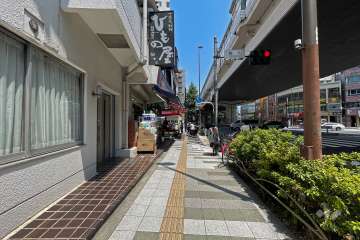 敷地南側の前面道路（西側から）