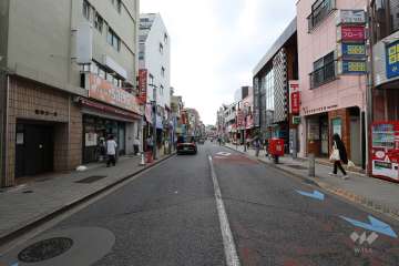 敷地西側の前面道路（北側から）