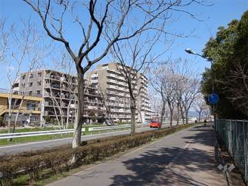 天神川と道路を挟んで南側には、昆陽池公園が広がっており、たいへん緑豊かです。