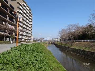 敷地の南側には天神川が流れています。