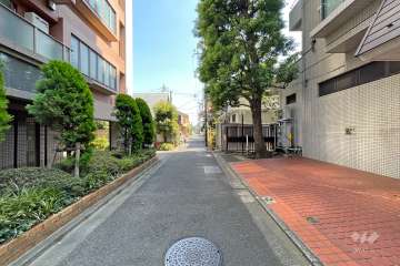 敷地西側の前面道路（北側から）