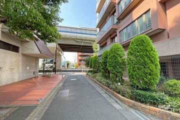 敷地西側の前面道路（南側から）