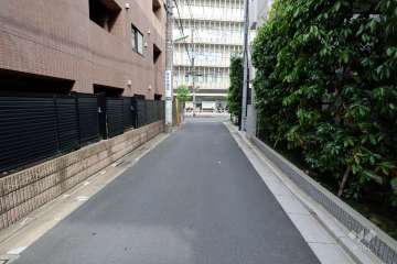 敷地南西側の前面道路(北西側から)