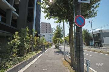 敷地西側の前面道路(北側から)