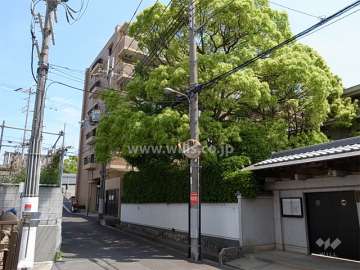 敷地の南側にはお寺があります。