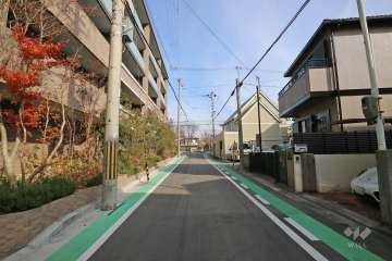敷地南側の前面道路（西側から）