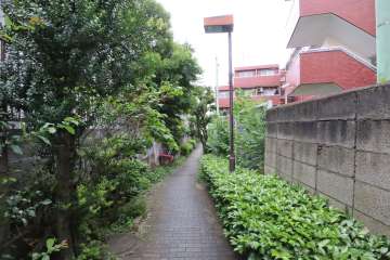 敷地北西側の前面通路(北東側から)