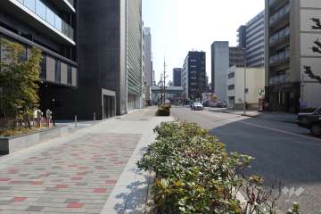 敷地南側の前面道路　