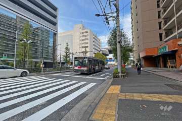 敷地北側の前面道路（西側から）