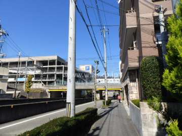 敷地西側の前面道路