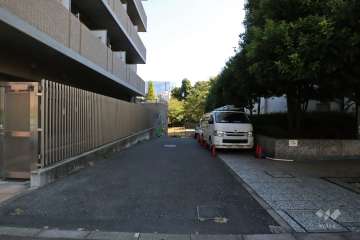 敷地北側の前面道路(北側から)