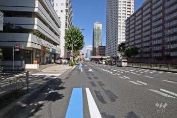 敷地西側の前面道路(南側から)