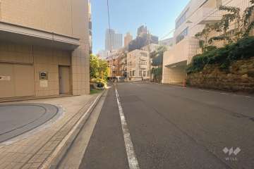 敷地南側の前面道路（西側から）