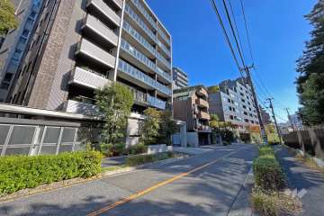 敷地西側の前面道路（北側から）