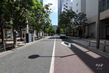 敷地南西側の前面道路(北西側から)