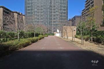 敷地南側の前面通路(西側から)