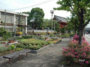 緑地スペースを挟んで、北東側には由緒のある昆陽寺があります。