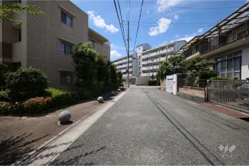 敷地北側の前面道路（東側から）