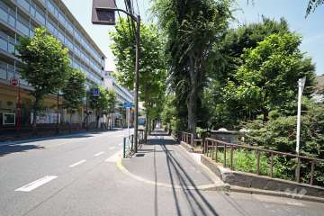 敷地南側前面道路は、角筈和泉町線（都道431号）です。
