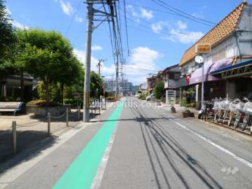 東側前面道路（南側から）