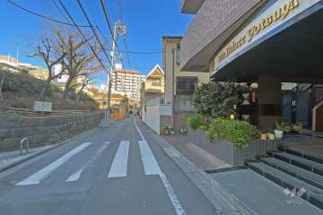 敷地の西側前面道路（南側から）