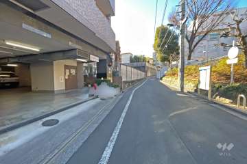 敷地の西側前面道路（北側から）