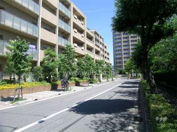 敷地東側の道路。街路樹がきれいで、道を挟んで向かい側には近畿中央病院があります。