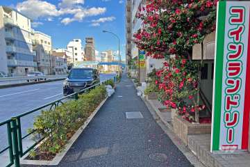 敷地の北側前面道路は新目白通りです（西側から）。