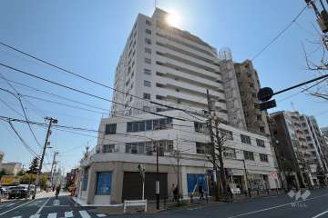 目白が丘マンションの外観（北東側から）