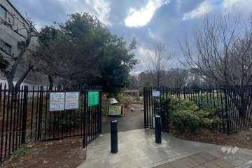 敷地に隣接したおとめ山公園