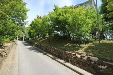 敷地北側の前面道路