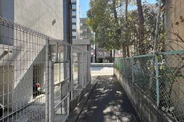 敷地の西側前面道路（北側から）