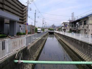 敷地の北側には蓬川が流れています。