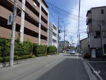 二車線のバス通り。通り沿いには店舗、事務所もあります。