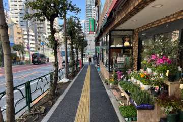 敷地東側の前面道路
