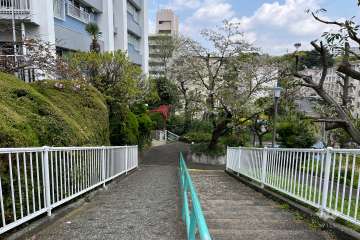 敷地の南側遊歩道（西側から）