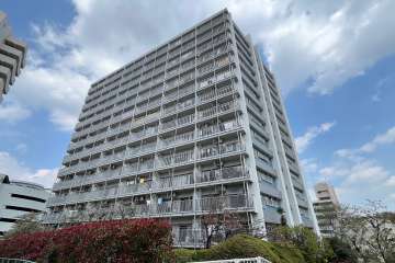 戸山ハイツ27号棟の外観（南西側から）