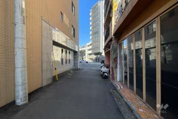 敷地の北東側前面道路（南東側から）