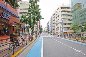 敷地東側の前面道路はつつじ通りです（南側から）。