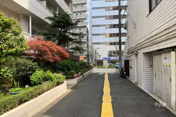 敷地の南側前面道路（西側から）