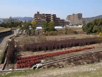 周辺には園芸畑が広がり、のどかな雰囲気です。