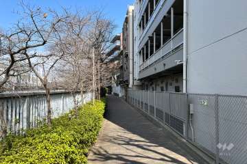 敷地の西側遊歩道（南側から）