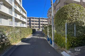 敷地西側の前面道路（南側から）