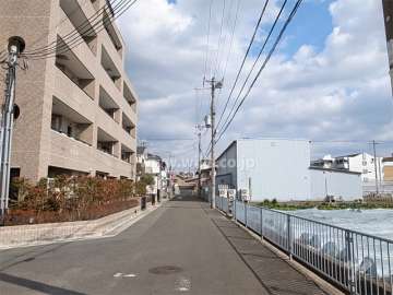 敷地南側の前面道路。