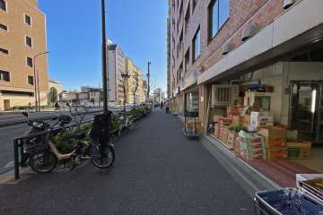 敷地東側の前面道路（北側から）
