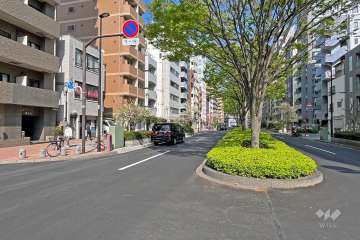 敷地の南側前面道路（西側から）