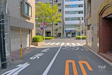 敷地の西側前面道路（北側から）