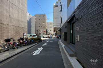 敷地の西側前面道路（北側から）