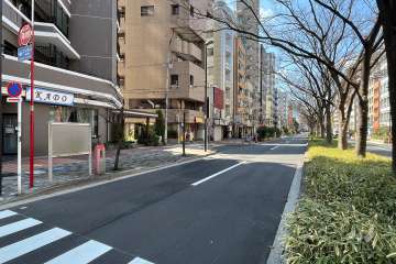 敷地の北側前面道路（東側から）